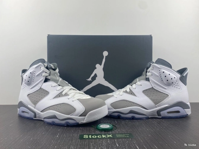 Reps TBK CT8529-100 Cool Jordan Grey Air 6 0709